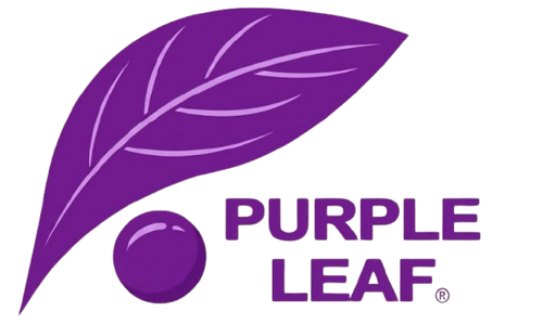 PURPLE LEAF